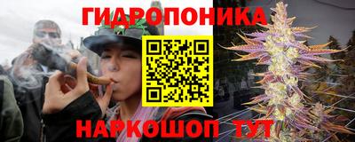 хмурый Чебоксары